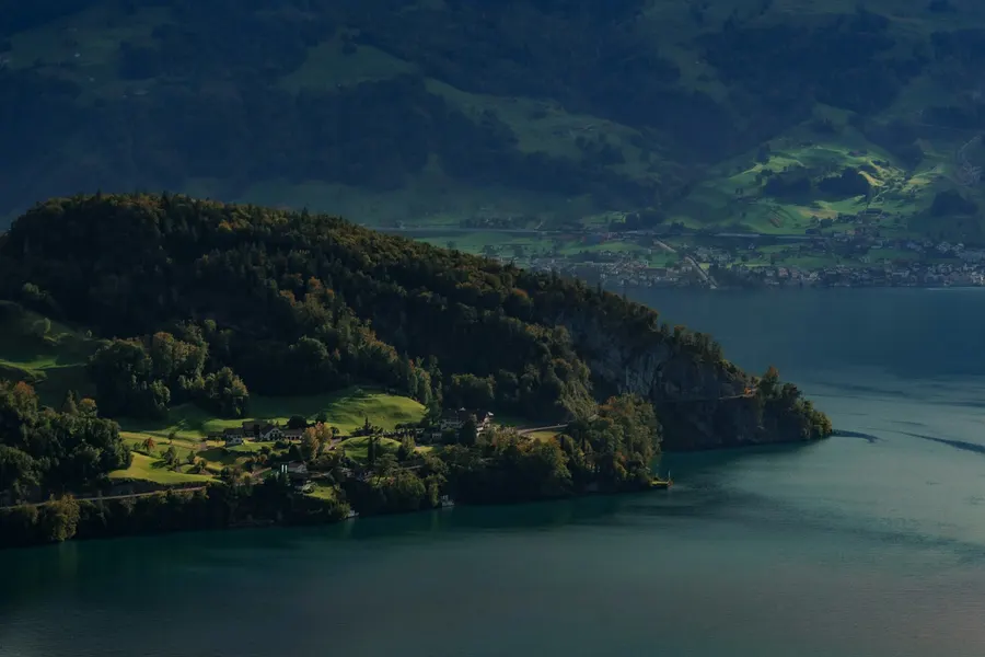 Forest and lake below Bürgenstock